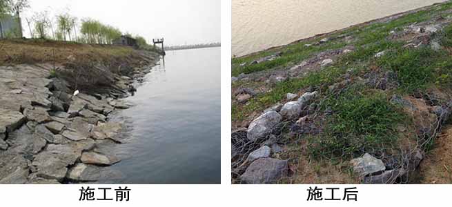 格賓網生態護岸